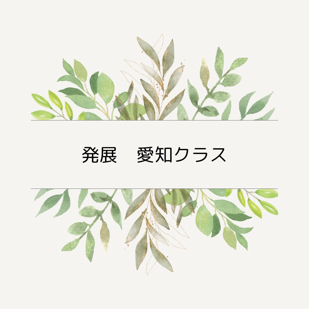 多肉スタイリング 発展コース  愛知クラス