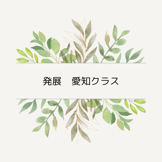 多肉スタイリング　発展コース  愛知クラス